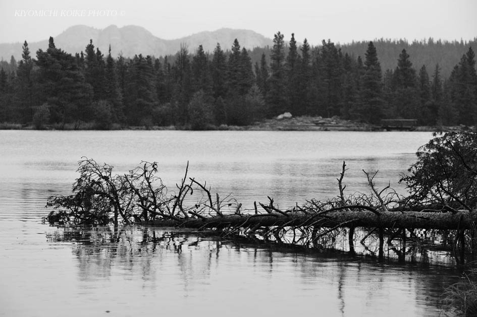 Kings Canyon National Park