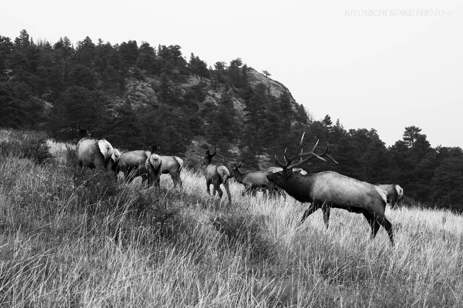 Kings Canyon National Park