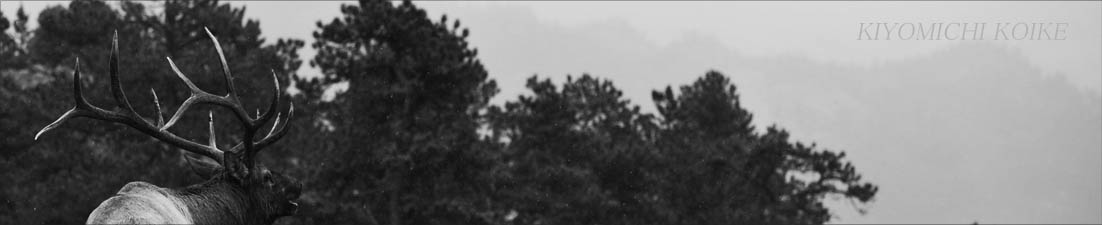 ????????????? at ????????