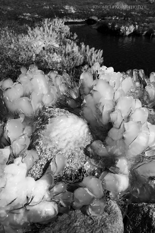 Kings Canyon National Park