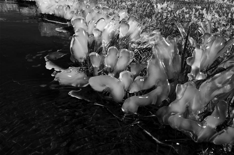 Kings Canyon National Park