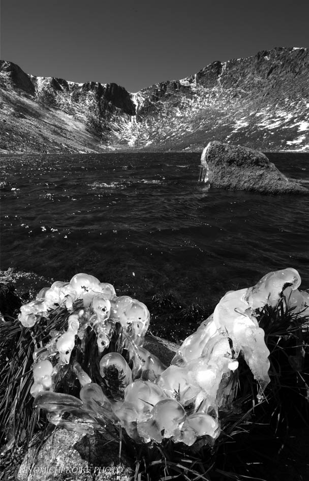 Kings Canyon National Park